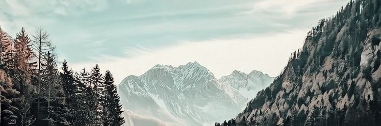 Ayuwindha's profile banner image