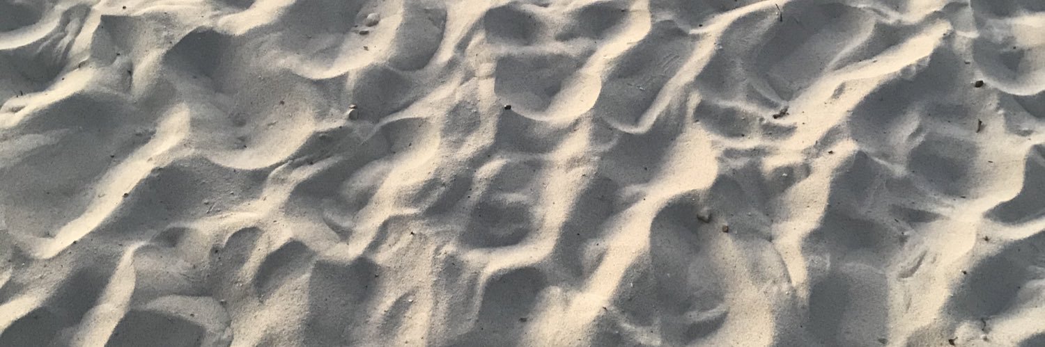 FleurdHibiscus_'s profile banner image