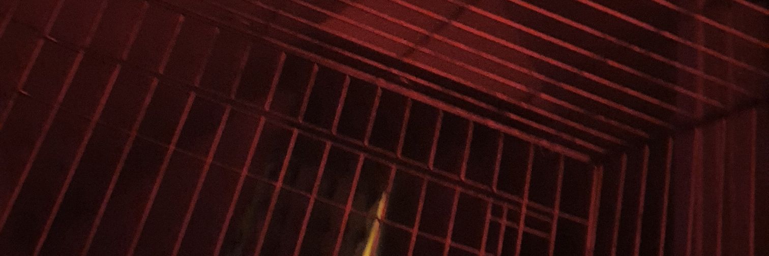 bootsslave's profile banner image
