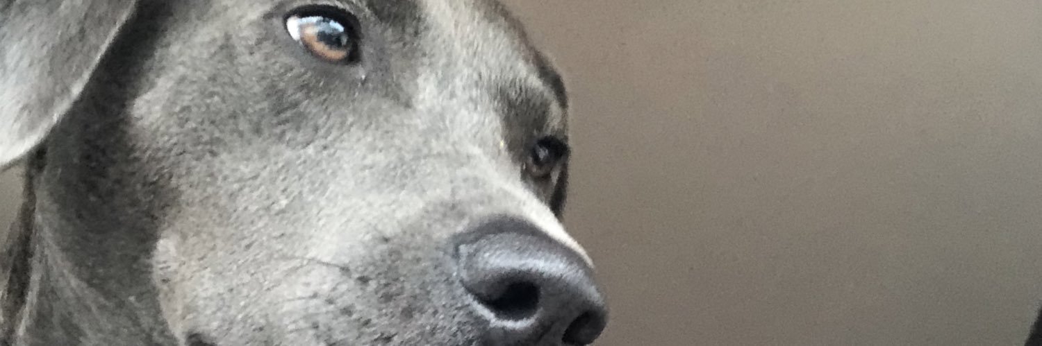 sammydiggs's profile banner image