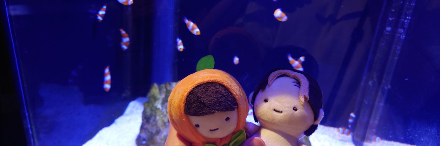 CoronTeardrop's profile banner image