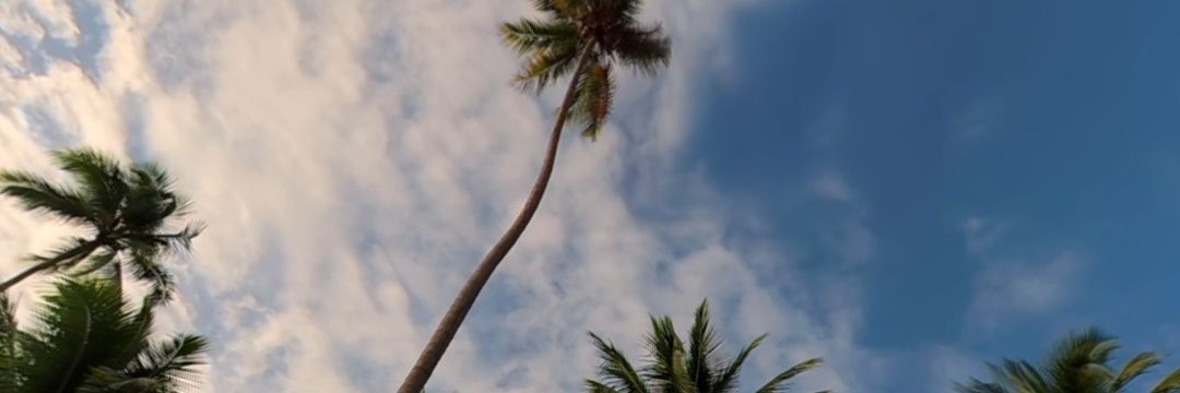 michell_marin9's profile banner image