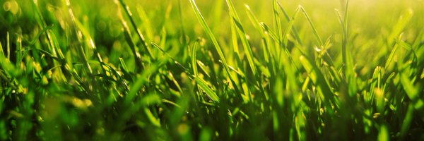ENTmediambient Profile Banner