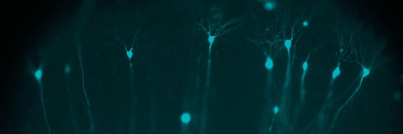 vivien_ba's profile banner image