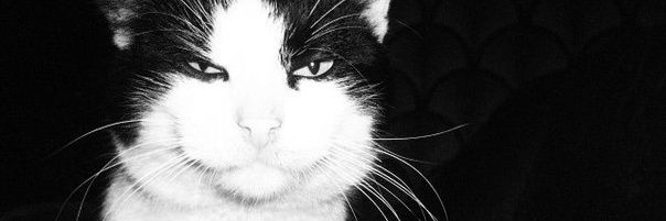 _mge__16's profile banner image