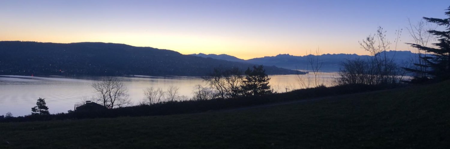 Sonia Sanchez banner