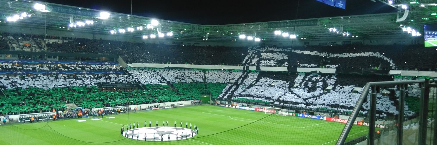 fohlenstreichler banner