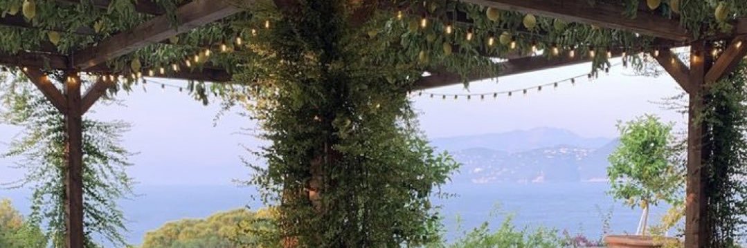 megrsheehan's profile banner image