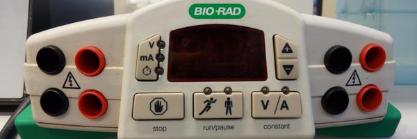 WB_Facts Profile Banner