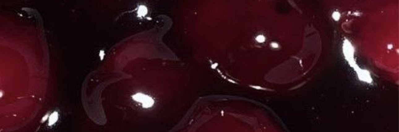 krlagabrielaa's profile banner image