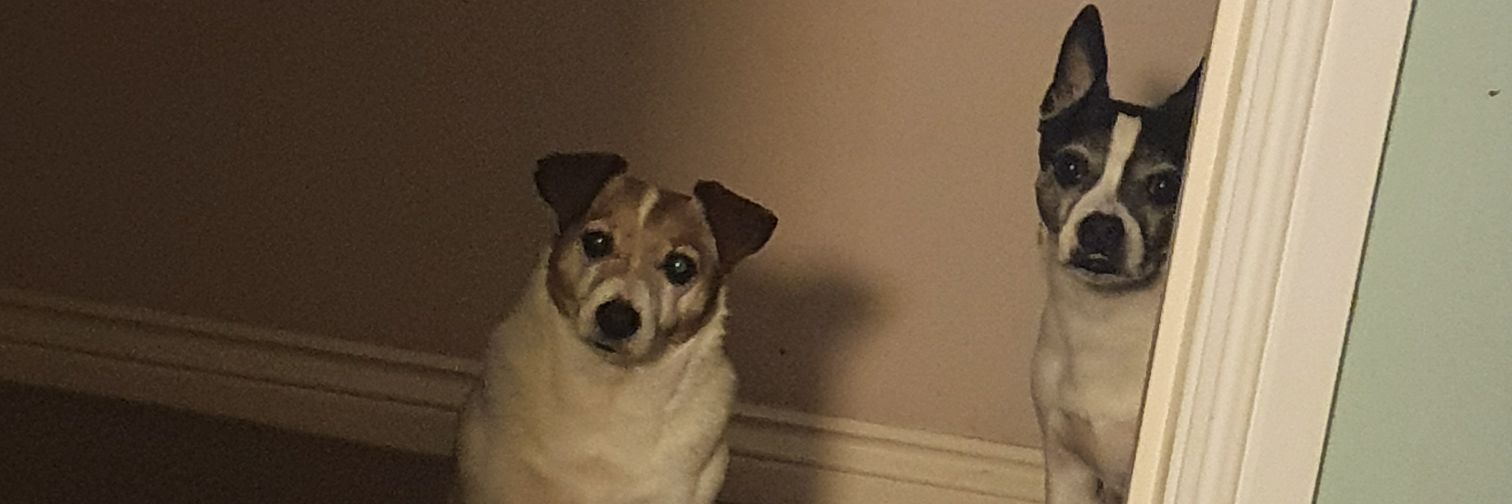 MartinKaney's profile banner image