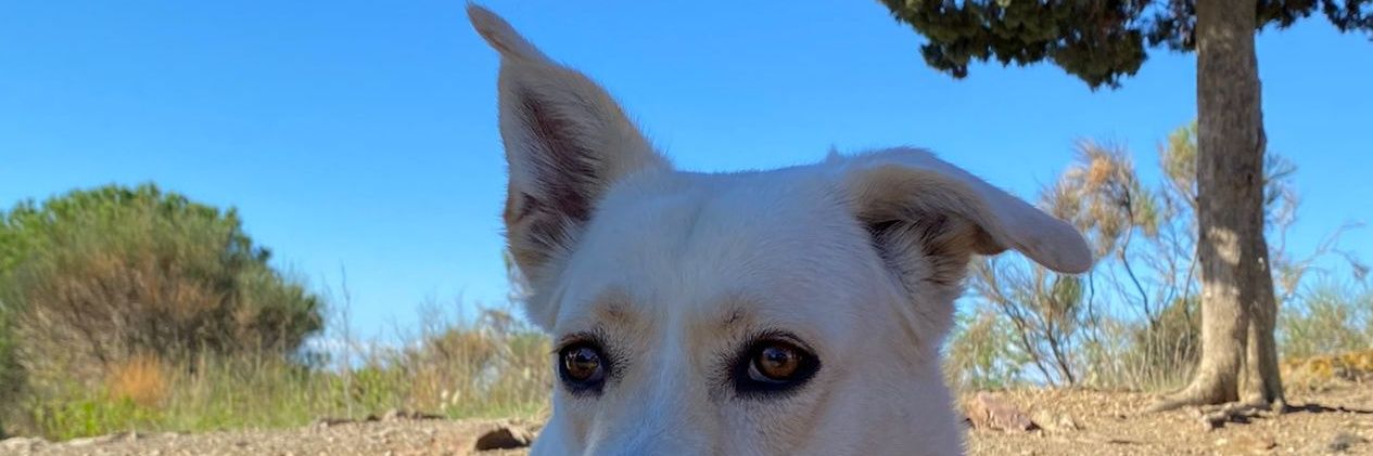 nuria9ros's profile banner image