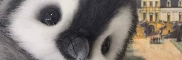 samcarrilloo's profile banner image