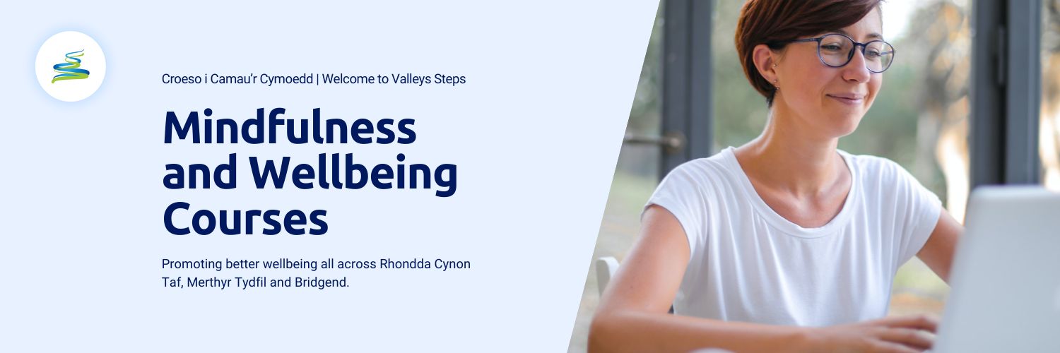 Valleys Steps banner