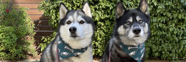 ZavalaA Profile Banner