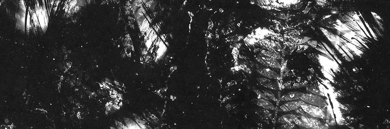 _casimaria's profile banner image