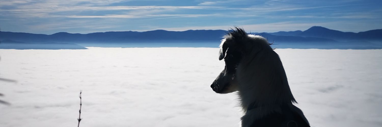 matteotacc's profile banner image