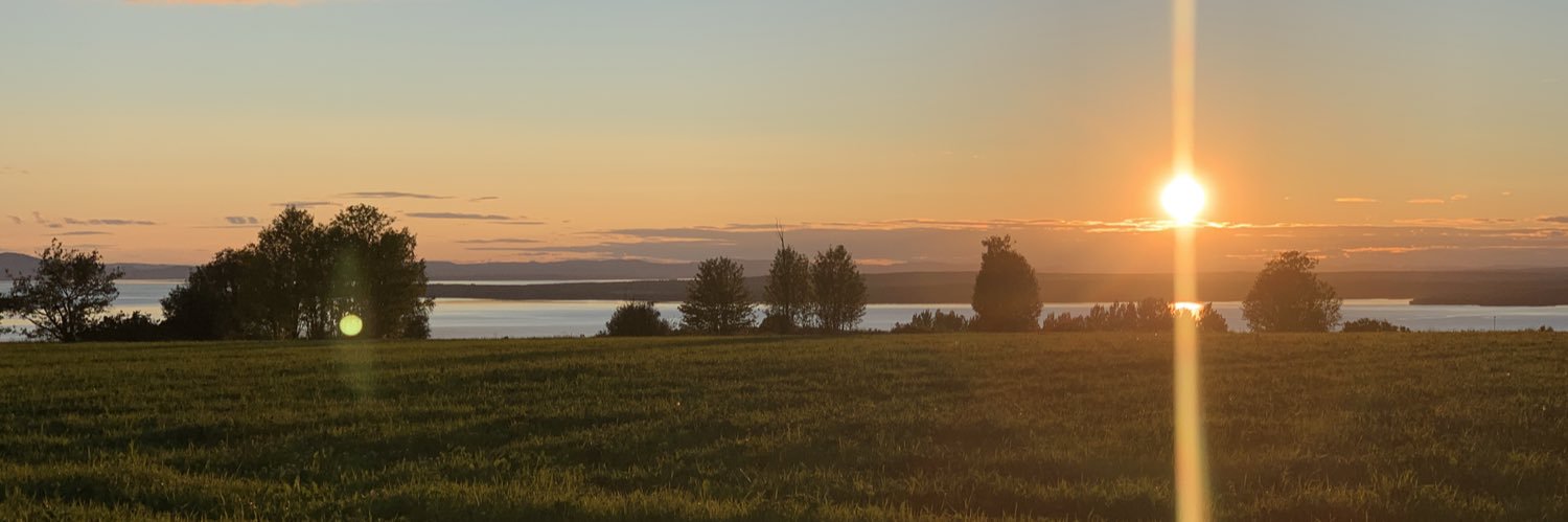 Lotchenn's profile banner image