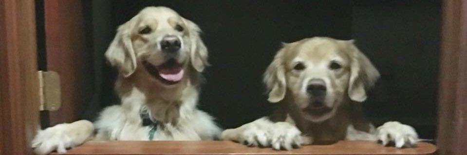 dianaleemason's profile banner image