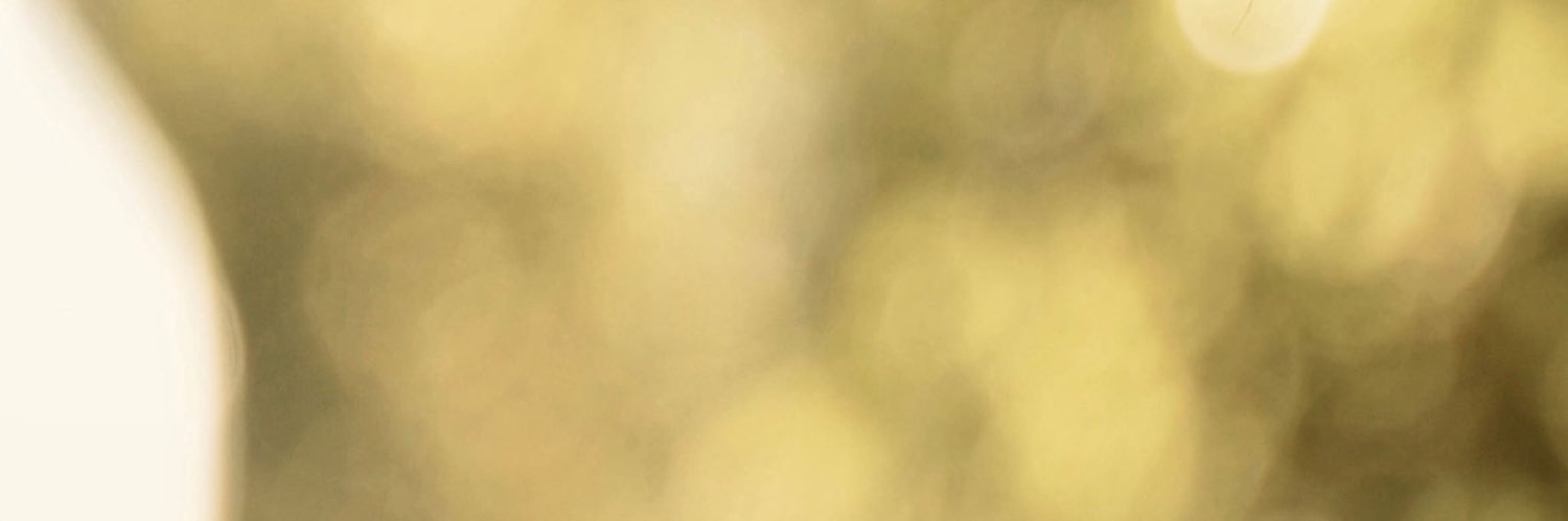 pmilovanovic's profile banner image