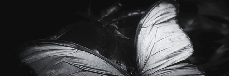 Disklosur's profile banner image