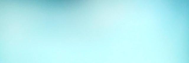 BAPC2015_Jes's profile banner image