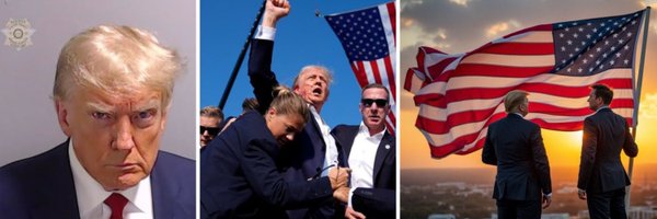 AmericaFirstSpy Profile Banner