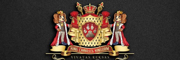 Zekinho1985 Profile Banner