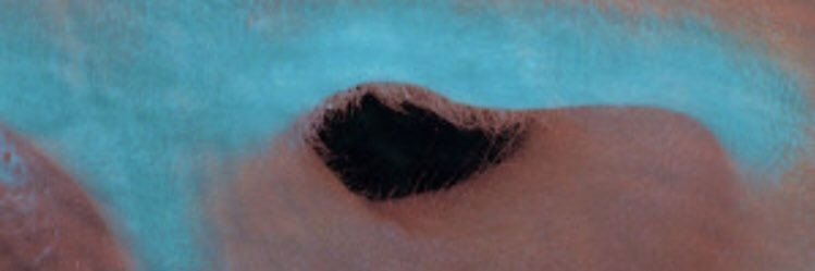 dm_shelton's profile banner image