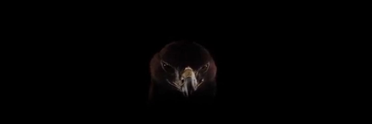 aidenim7's profile banner image