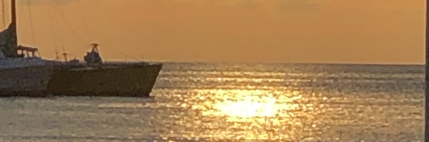 akaMrsSanchez's profile banner image