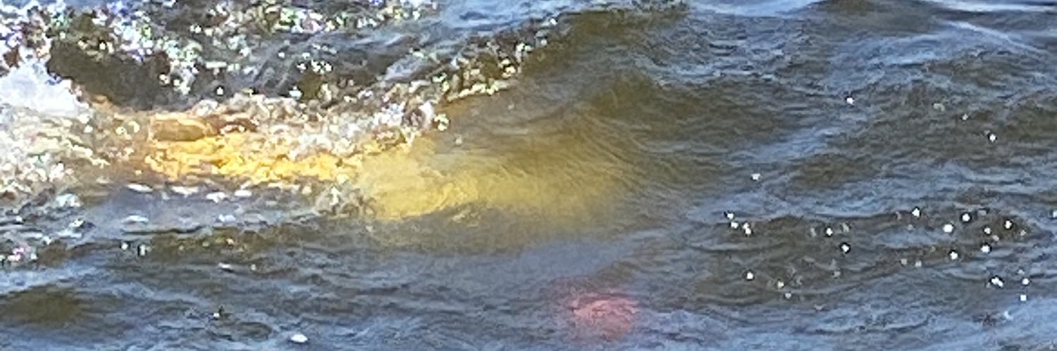 Howie Handorf banner