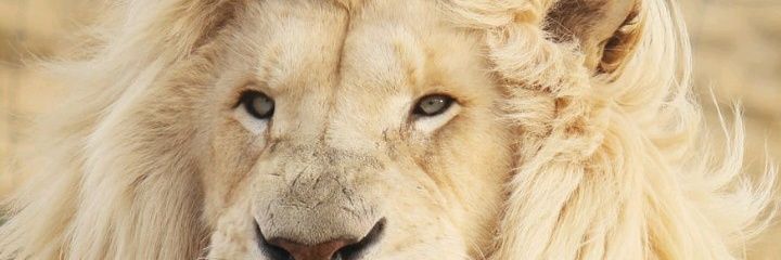 harmzertt's profile banner image