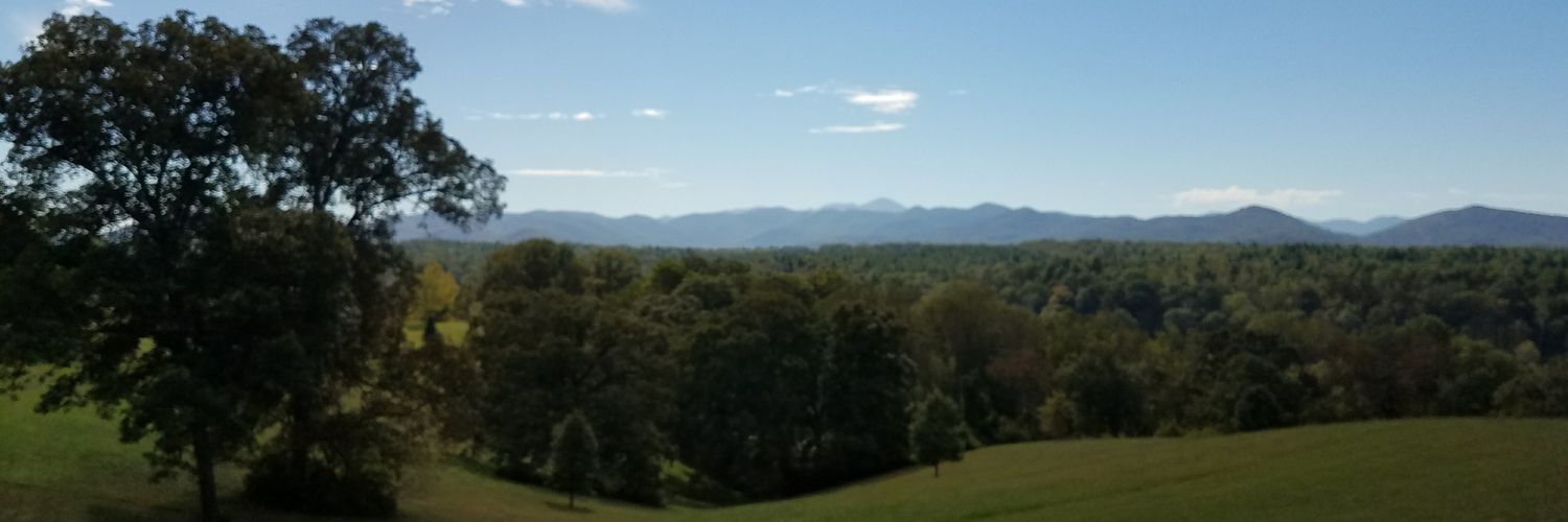 deedlebay's profile banner image