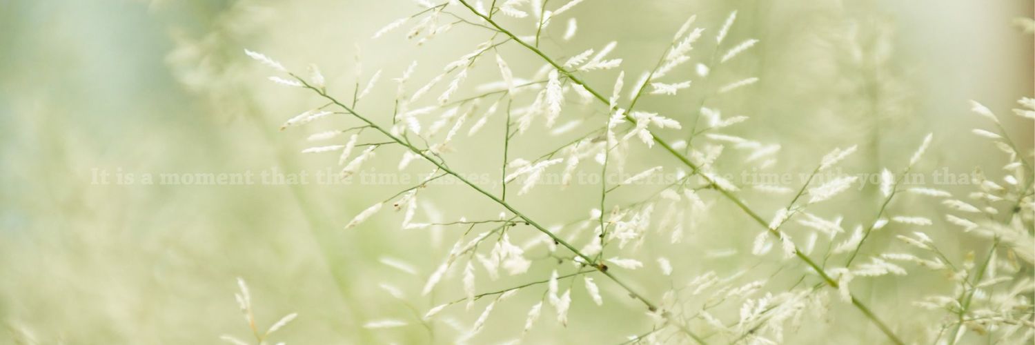 lmayumil's profile banner image