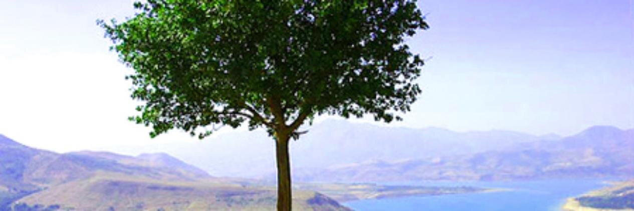 3n_88's profile banner image