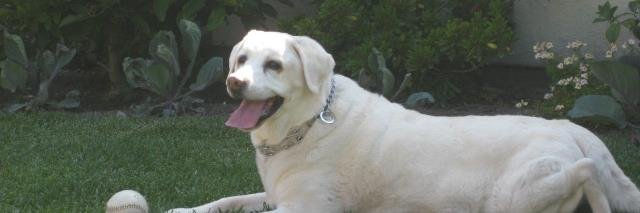 mortonbailey's profile banner image