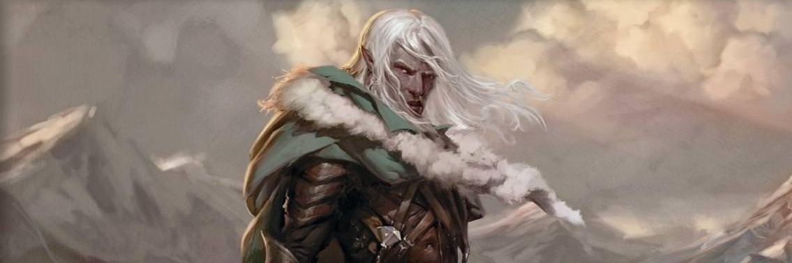 Drizzt banner