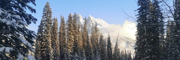 rfidcanada Profile Banner