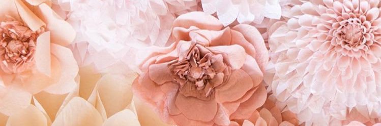 RodriguezTonia's profile banner image