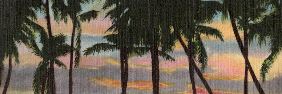 OGwillaiken's profile banner image