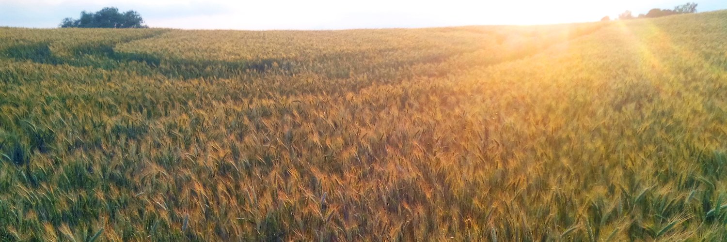 Wojciech Rybka banner