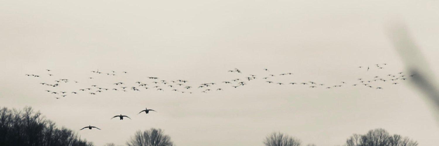 JonathonBrooks2's profile banner image