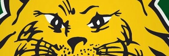vulzerizer16's profile banner image