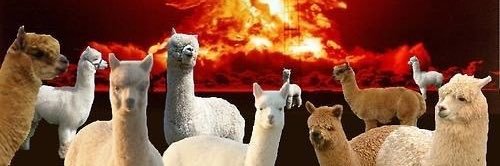 Alpacalypse__'s profile banner image
