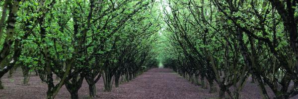 bphPDX Profile Banner