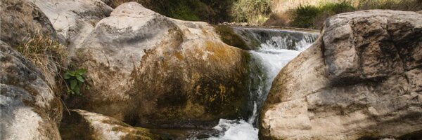 crodriguezfl Profile Banner