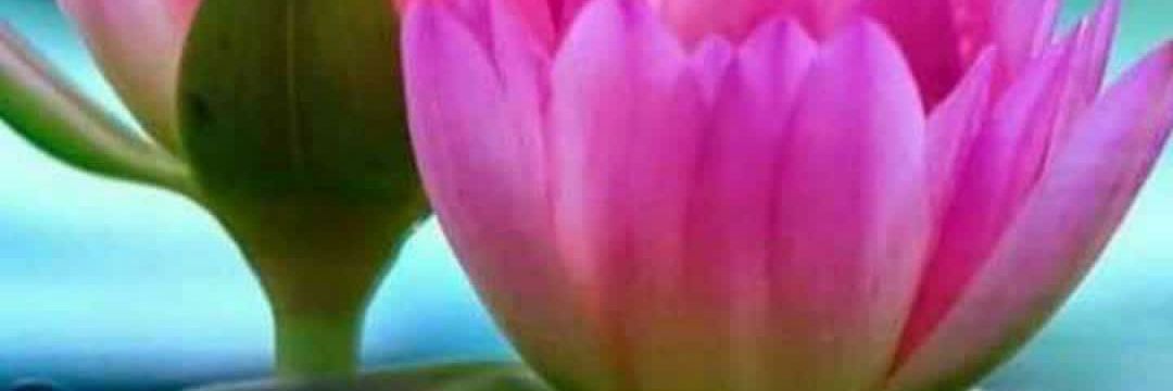 vilas_meher's profile banner image