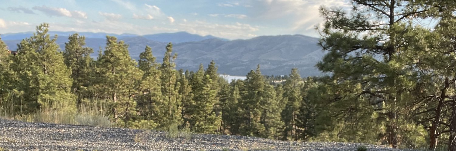 Shaun Murgel banner