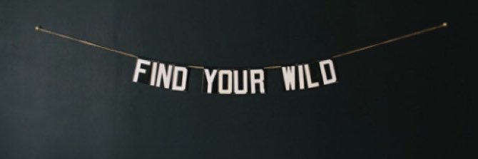 a.m.✺ banner